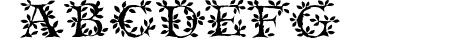 Tenderleaf Regular