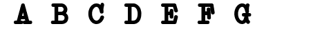 Erica Type Bold Italic