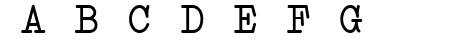 Erica Type Italic