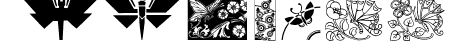ButterflyAndCo