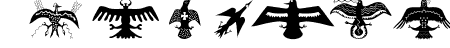 BirdsEleven