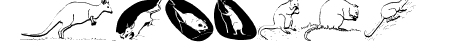 AustranimalsOne