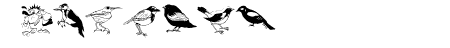 Blackbirds
