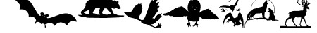 AnimalShadowsDrei