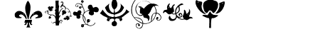 BirdsNPlants