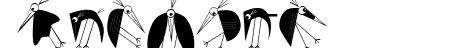 BirdsXtreme