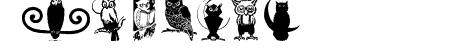 OwlsAndMore