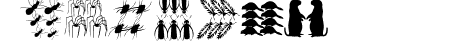 DueTresQuattro
