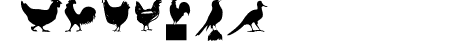 BirdsOThree