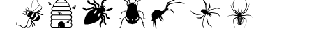 Insects07