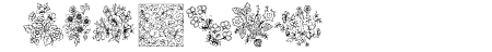 KR Floral Color Me