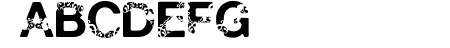 Polar Shift Bold