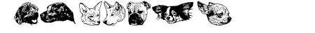 DoggyPrint AOE