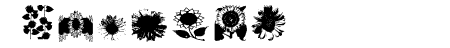 AEZsunflowers