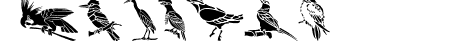 HFF Bird Stencil