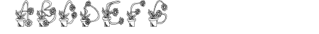 FlowerSketches