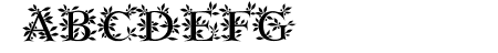 EFN Zielony Font