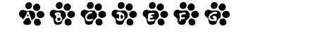 Catty