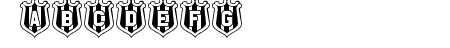 NUFC Shield