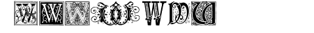 Ornamental Initials W