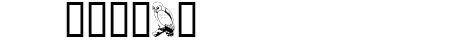 Carsten\\\'sOwls