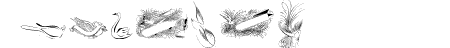 Penmanship Birds Free
