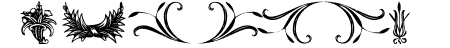 Destiny\\\'s Decorative D