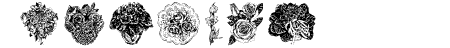 Destinys Flowers