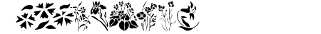 Wildflowers2