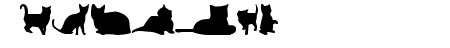 kitty cats tfb
