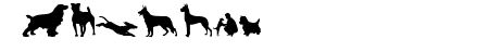 can dog tfb