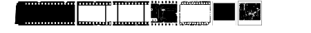 NegativeFilm Regular