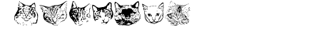 KittyPrint AOE
