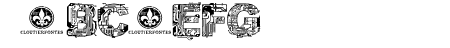 CF Circuit Electrique Reg