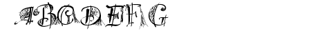 SpiderWritten