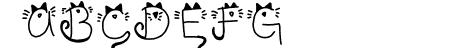 Kitty face