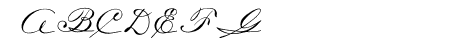 OPTICarmella-HandScript