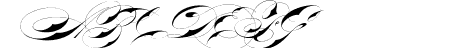 Bradstone-Parker Script L