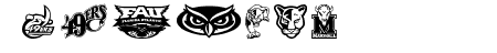 C-USA