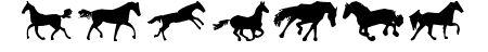 Horses 1