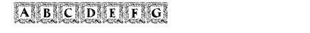 Maximilian Antiqua Initia
