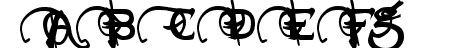 Neverwinter Bold