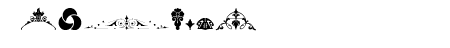 Unnamed Ornaments Series 