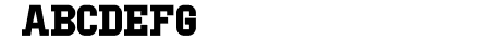 IBM Block Serif