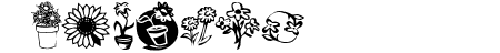 KR Kat\\\'s Flowers 3