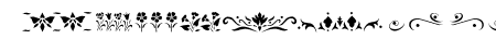 KR Fleur Flair Lines 3