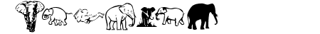 KR Rachel\\\'s Elephants