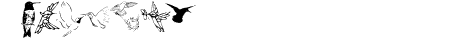 KR Renee\\\'s Hummingbird