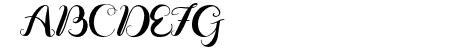 Vignette Script