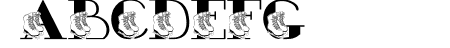 JLR Ashleigh\\\'s Skates